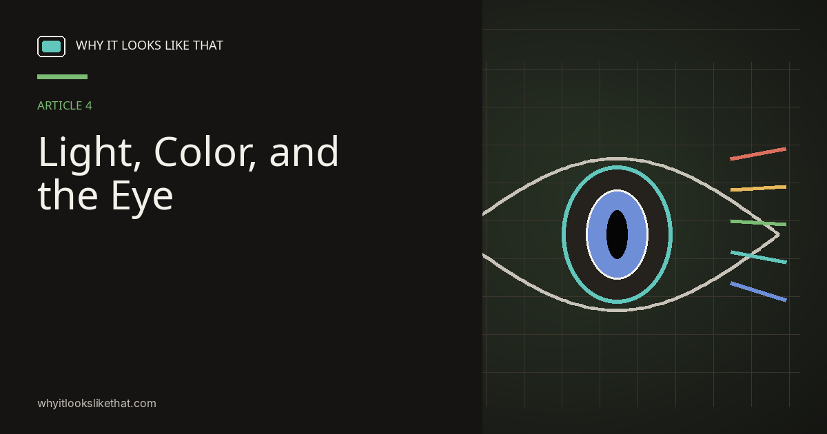 How Human Vision Shapes TV Picture Quality
